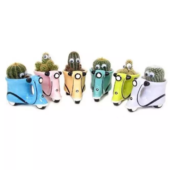 Cactus Figura II 5/15
