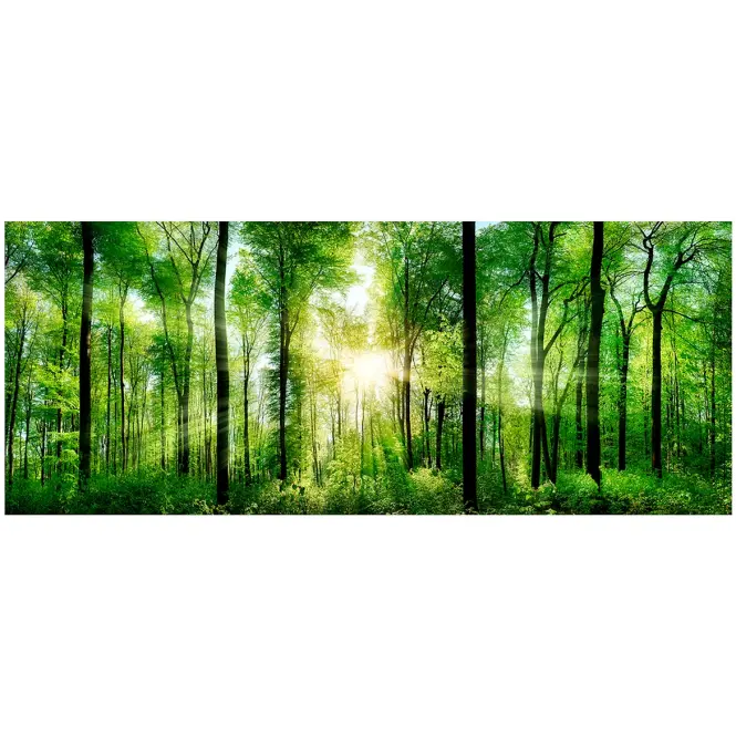 Obraz na szkle 50x125 Nature Sunlight EX121