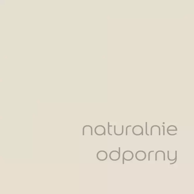 Dulux EasyCare Plamoodporna Farba Naturalnie Odporny 2,5l