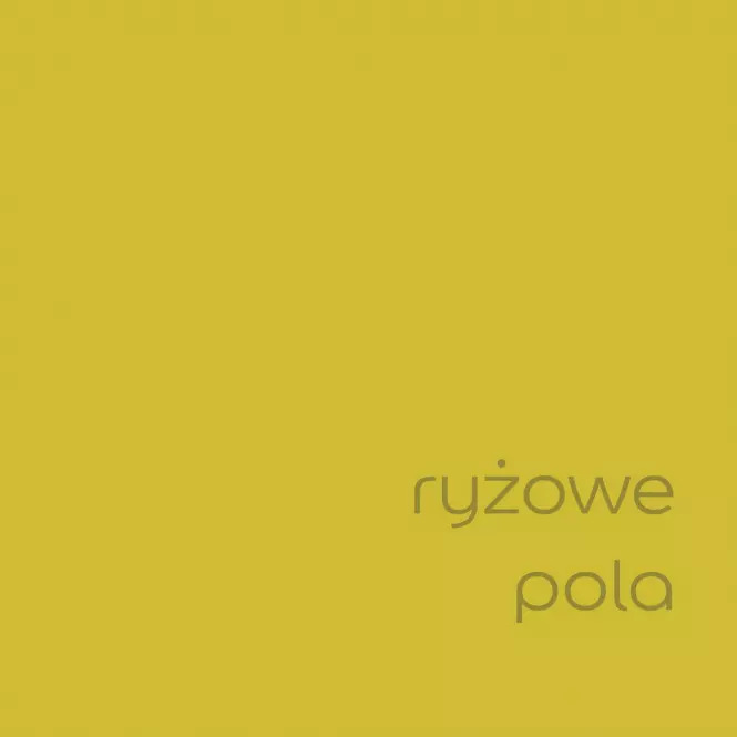 Dulux Kolory Świata Lateksowa Emulsja Do Ścian i Sufitów Ryżowe Pola 2,5l,2
