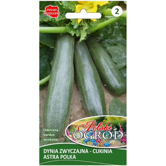 Dynia zwyczajna cukinia Astra Polka – wczesna ciemnozielona