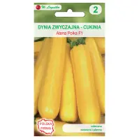Dynia zwyczajna cukinia Atena Polka F1 - złotopomarańczowa