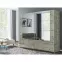 Szafa Talin 250 dąb wellington/lustro,3