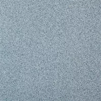 Wykładzina PVC 3m Smart 605