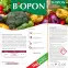 Biopon do warzyw 1kg,2