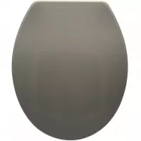 Deska Light Gray wolnoopadająca