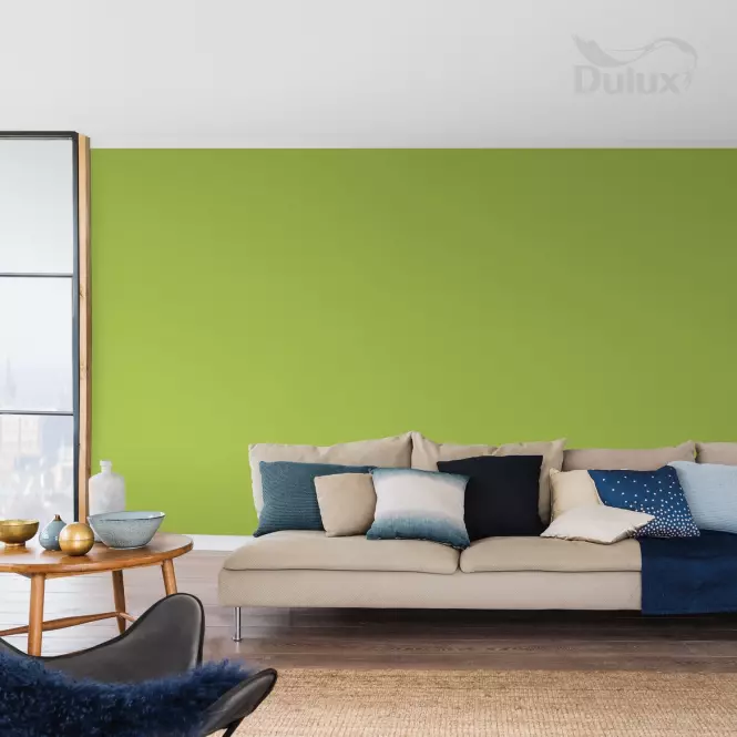 Dulux Kolory Świata Lateksowa Emulsja Do Ścian i Sufitów Las Równikowy 2,5l,3