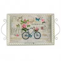 Taca Metalowa Bicycle 41x23x4,5/9cm