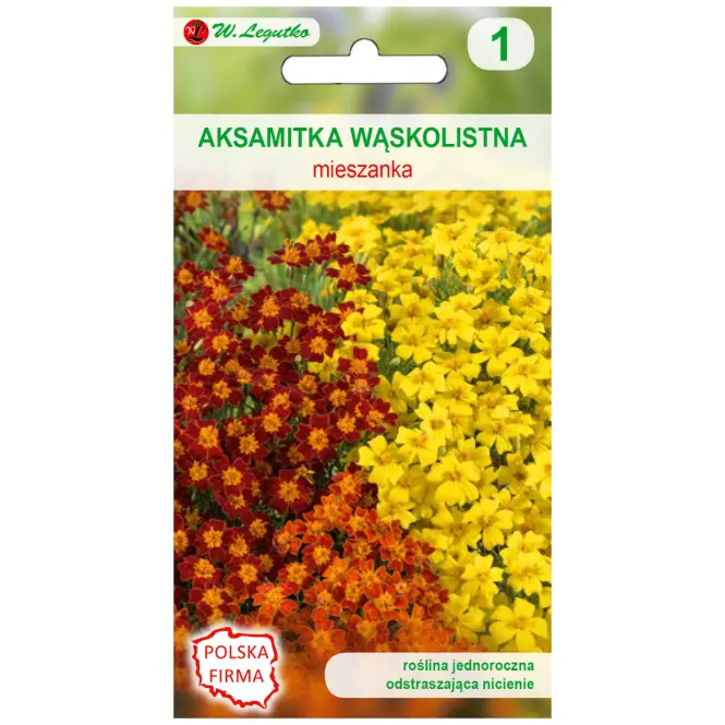 Aksamitka wąskolistna mieszanka