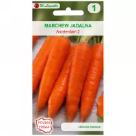 Marchew jadalna amsterdam 2 (amsterdamska) - wczesna