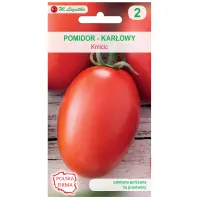 Pomidor gruntowy karłowy wiotkołodygowy Kmicic - owoce podłużne, średnio wczesna