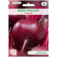 Burak ćwikłowy Degypte
