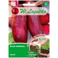 Burak ćwikłowy opolski - cylindryczny