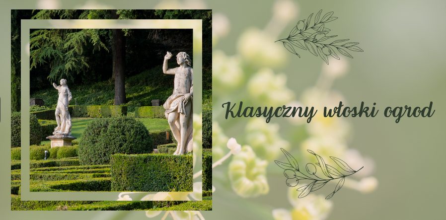 symetryczne rośliny nieodłącznym elementem ogrodu w stylu włoskim
